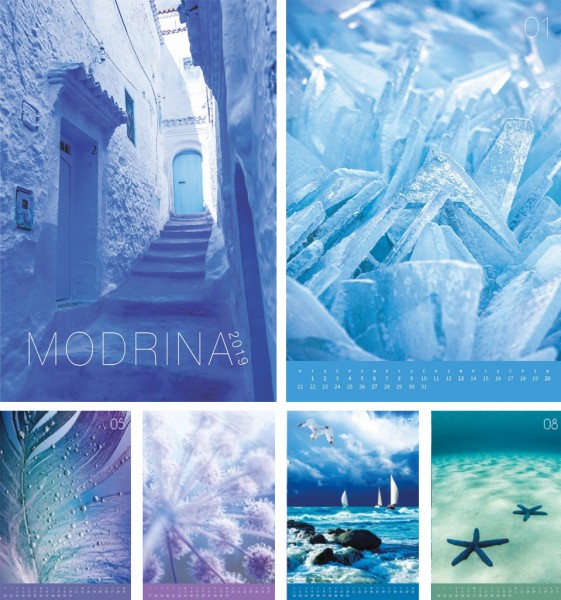 Koledar Modrina 2019