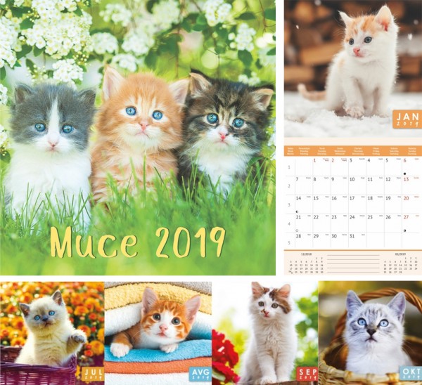 Koledar Muce 2019